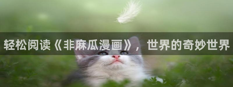 《19天》漫画全集下拉式虫虫漫画：轻松阅读《非麻瓜漫画》，世界的奇妙世界