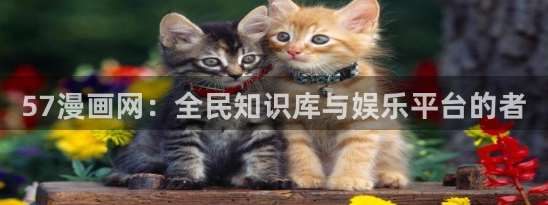 虫虫漫画热门作品有哪些：57漫画网：全民知识库与娱乐平台的者