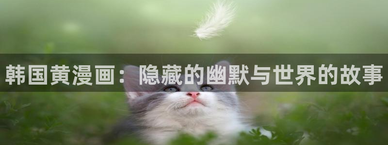 虫虫漫画入口(免费)：韩国黄漫画：隐藏的幽默与世界的故事