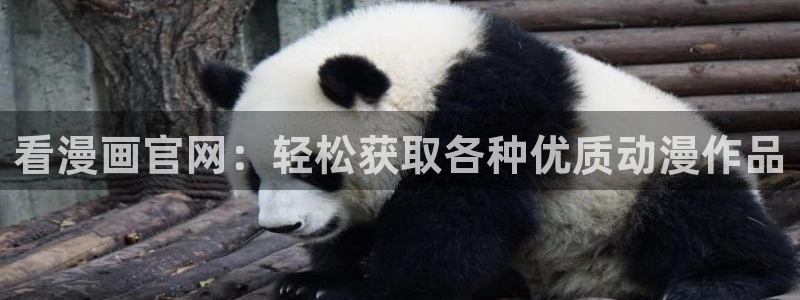 虫虫漫画韩国漫画：看漫画官网：轻松获取各种优质动漫作品