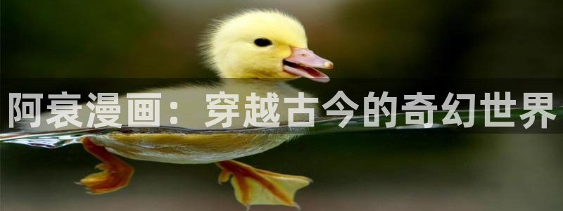 虫虫漫画网站虫虫漫画下拉式：阿衰漫画：穿越古今的奇幻世界